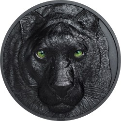 Palau 10 dollars 2020 - BLACK PANTHER Hunters By Night - 2 oz silver coin