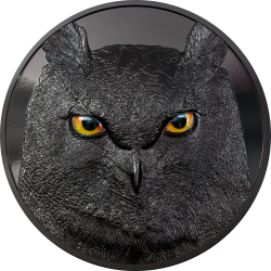 Palau 10 dollars 2021 - EAGLE OWL Hunters By Night - 2 oz silver coin