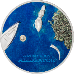 Palau 5 dollars 2022 - Split Views AMERICAN ALLIGATOR - 1 oz silver coin 5$